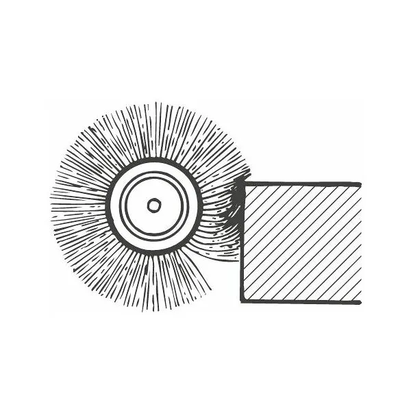 HOLEX ENKELRIJIGE RONDE BORSTEL RVSDRAAD 0,30 MM, BORSTEL⌀ D1×BORSTELBREEDTE: 100X12MM