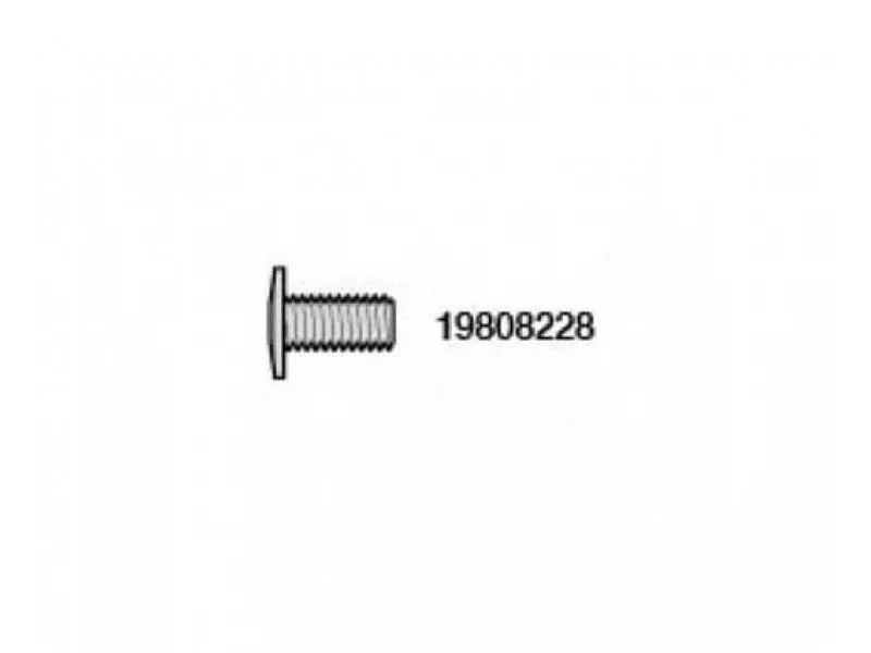 PLATTE SCHROEF 3X6MM 5ST  19808228