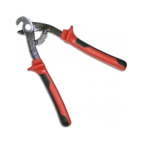 Rubi Pagegaaienbektang 65925
