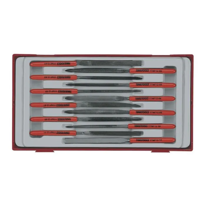 TENG TOOLS TTNF12 NAALDVIJLEN SET 12DELIG