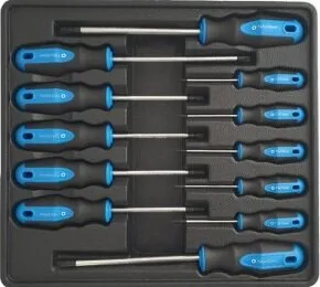 TORX SCHROEVENDRAAIERS 12DELIG