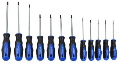 TORX SCHROEVENDRAAIERS 12DELIG